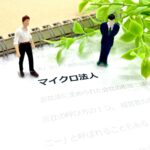 マイクロ法人